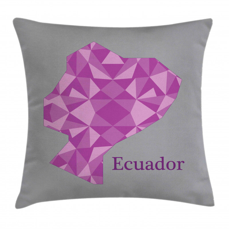 Polygonal Cartography Print Pillow Cover