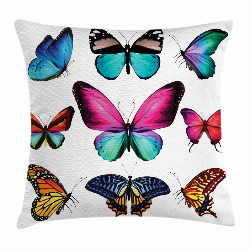 Vibrant Butterflies Set Pillow Cover