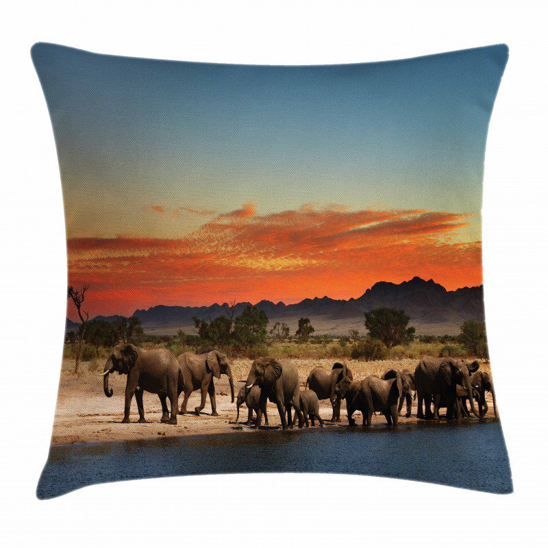 Safari Wildlife Pillow Cover
