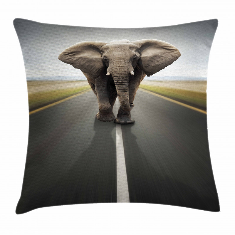 Wild Animal on Highway Pillow Cover