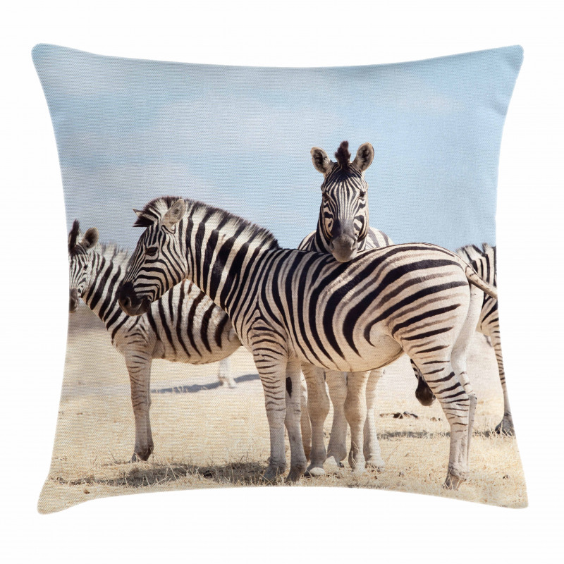 Namibia Africa Safari Pillow Cover