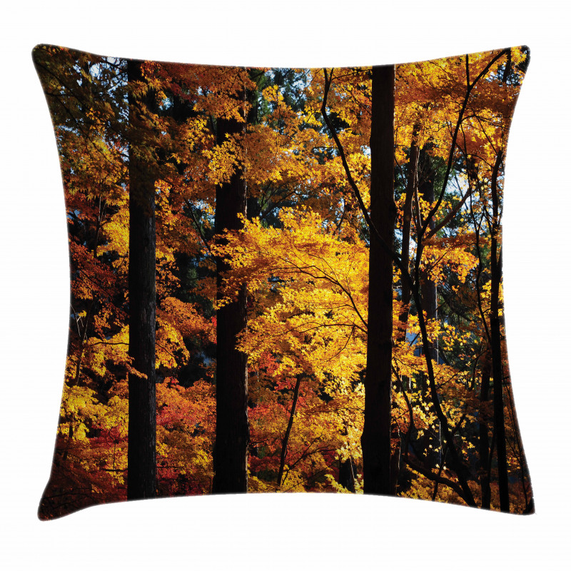 Fall Tranquil Countryside Pillow Cover