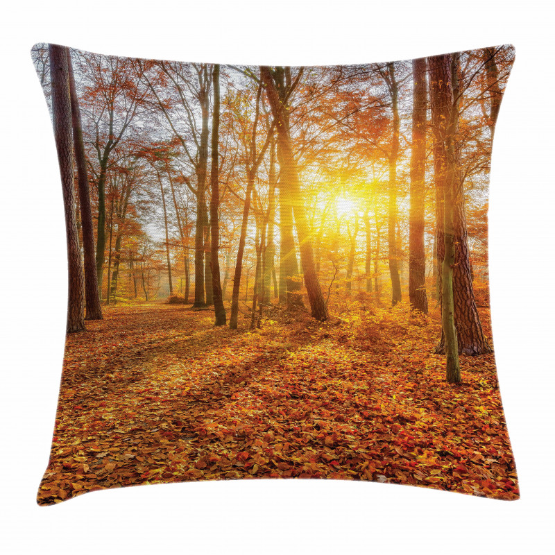 Foggy Sunset Sunbeams Pillow Cover