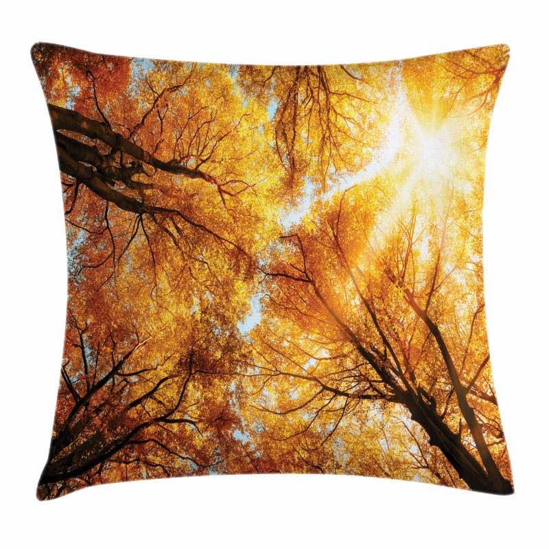 Autumn Sunbeams Forest Pillow Cover