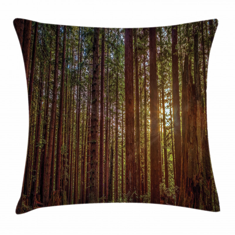 Redwood Forest Park USA Pillow Cover