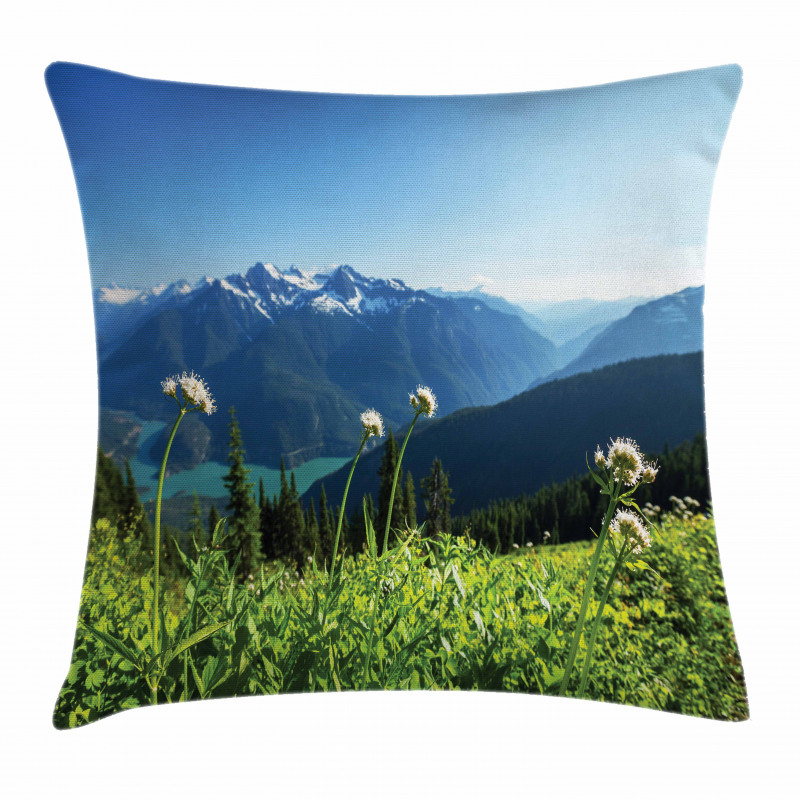 Diablo Lake Dandelions Pillow Cover