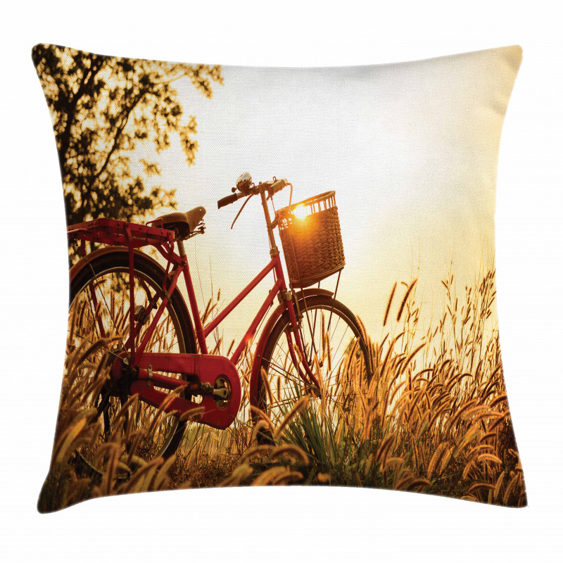 Bike in Sepia Tones Rural Pillow Cover