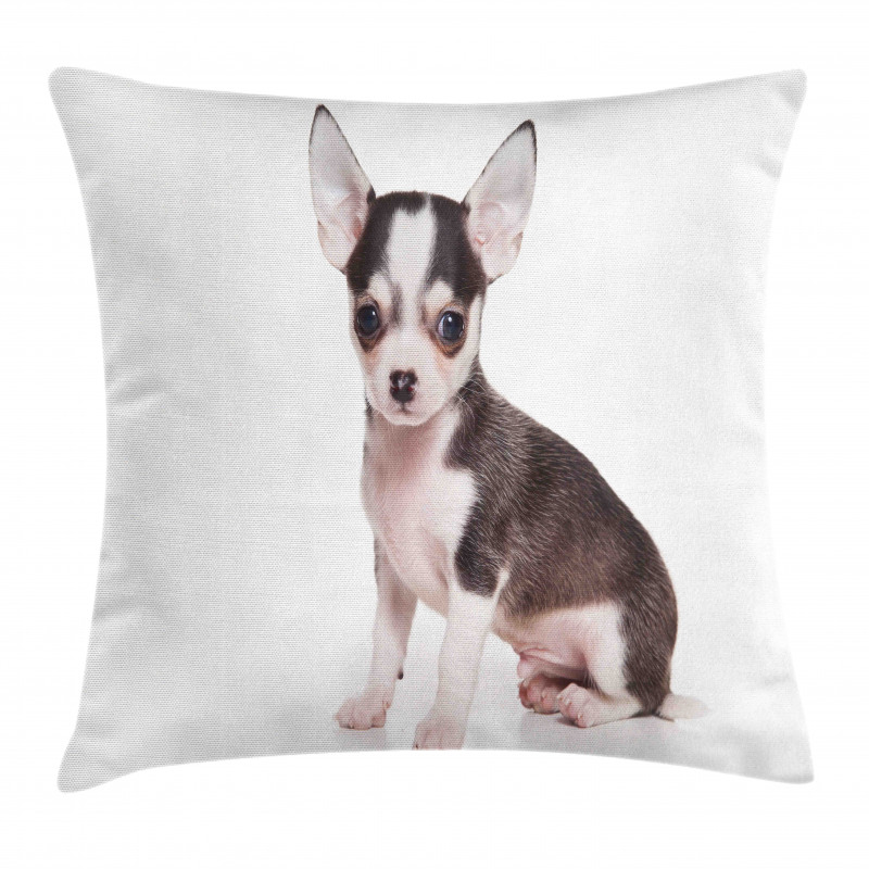 Ears Innocent Eyes Pillow Cover