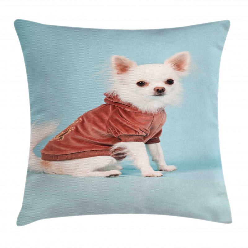 Puppy with Clothes Pillow Cover