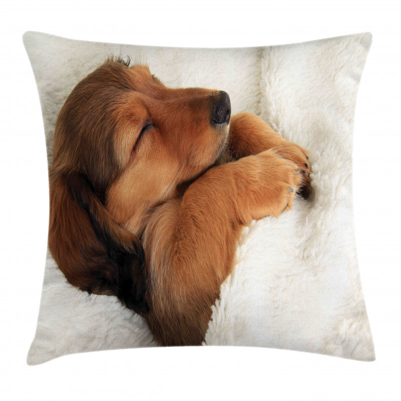 Puppy Sleeping in Its Bed Pillow Cover