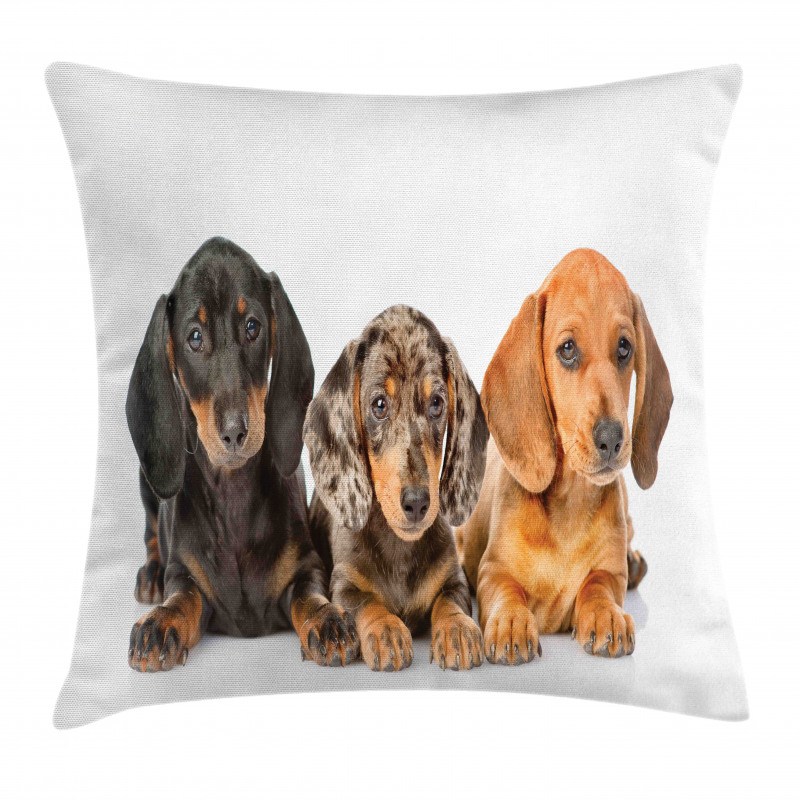 Different Color Dogs Lays Pillow Cover