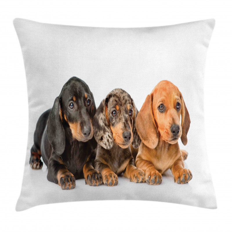 Puppies Lying Together Pillow Cover