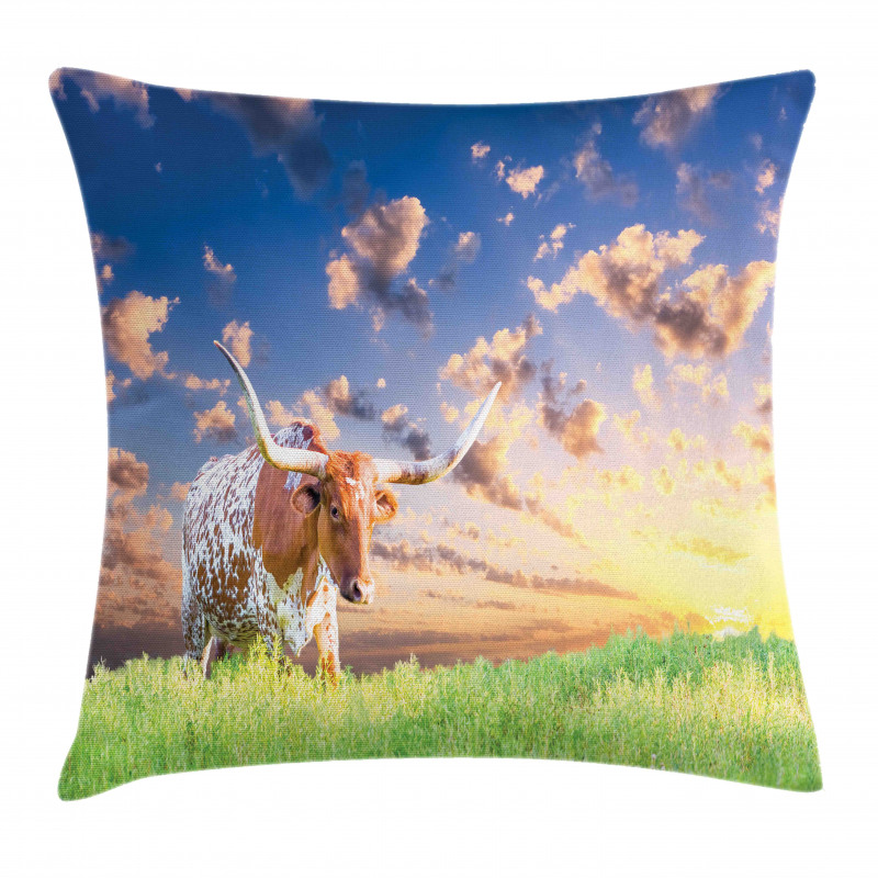 Female Cow in Pasture Sky Pillow Cover