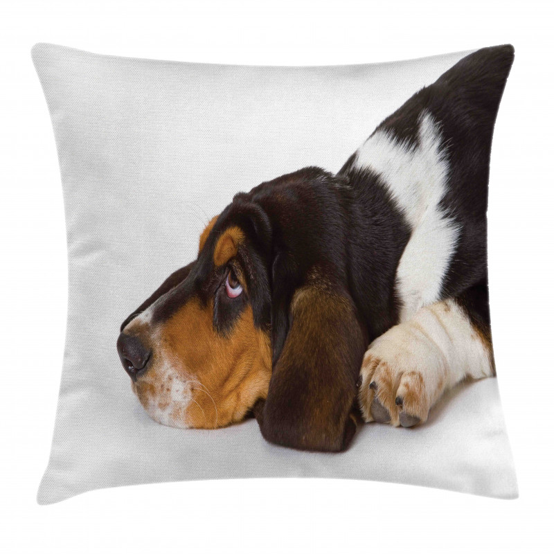 Innocently Lying Dog Pillow Cover