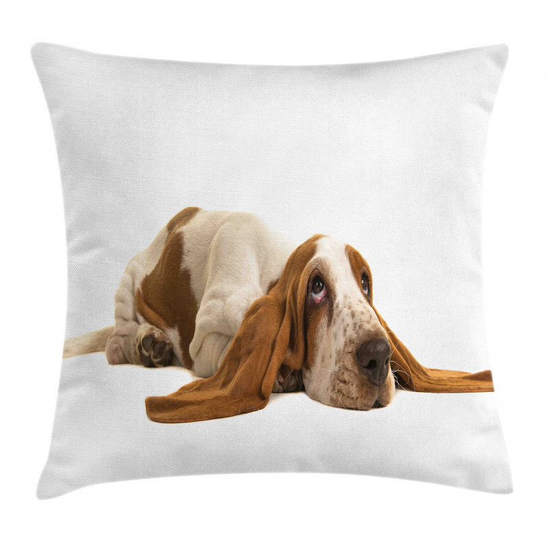 Long Eared Dog Pillow Cover