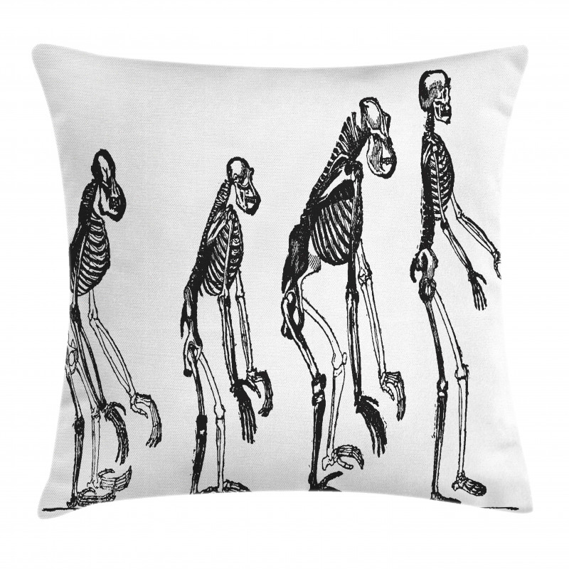 Evolution Theme Ape to Man Pillow Cover