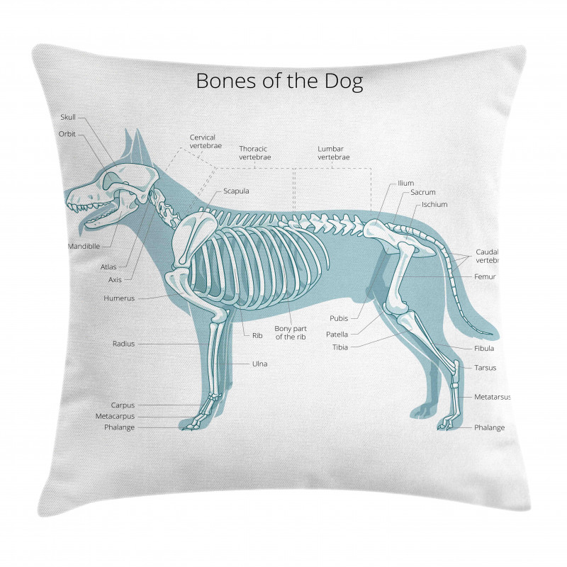 Bones of the Dog Table Pillow Cover