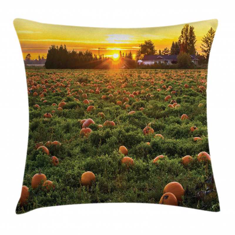 Fall Patch at Sunset Pillow Cover