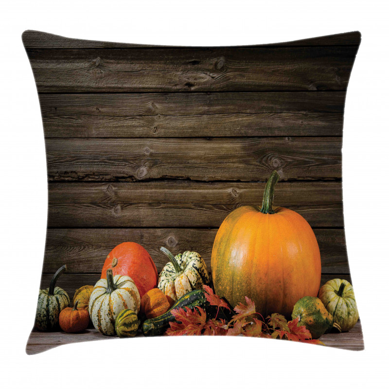 Thanksgiving Day Pillow Cover