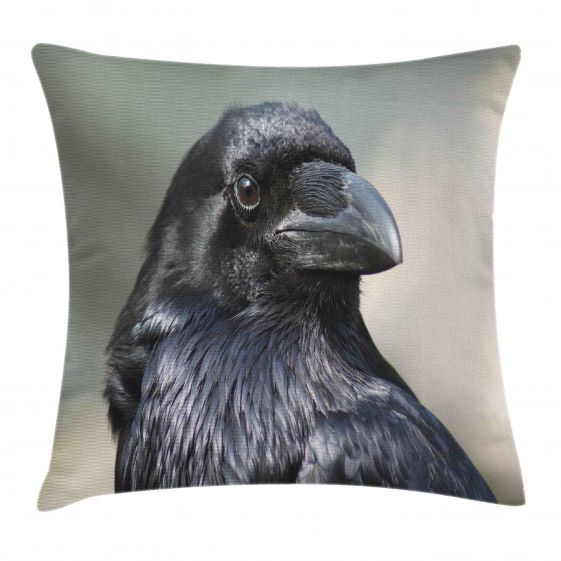 Close up Bird Portrait Pillow Cover