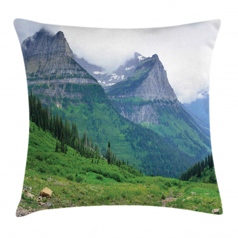 Summer Landscape with Grass Pillow Cover