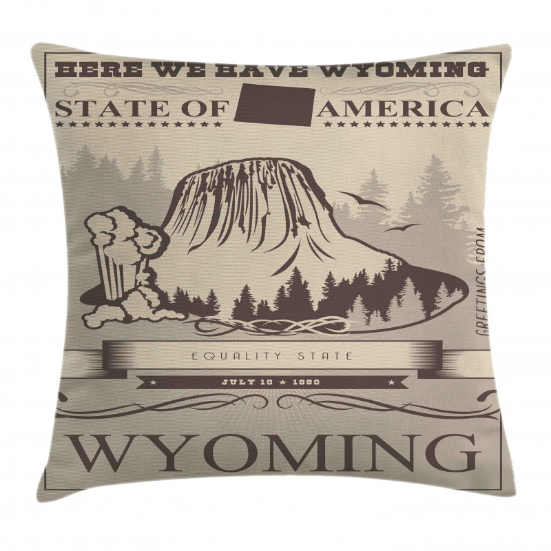 Retro Poster Equality State Pillow Cover