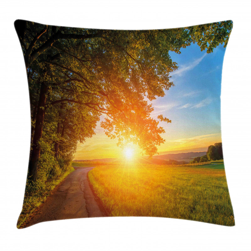 Tranquil Path at Sunset Pillow Cover