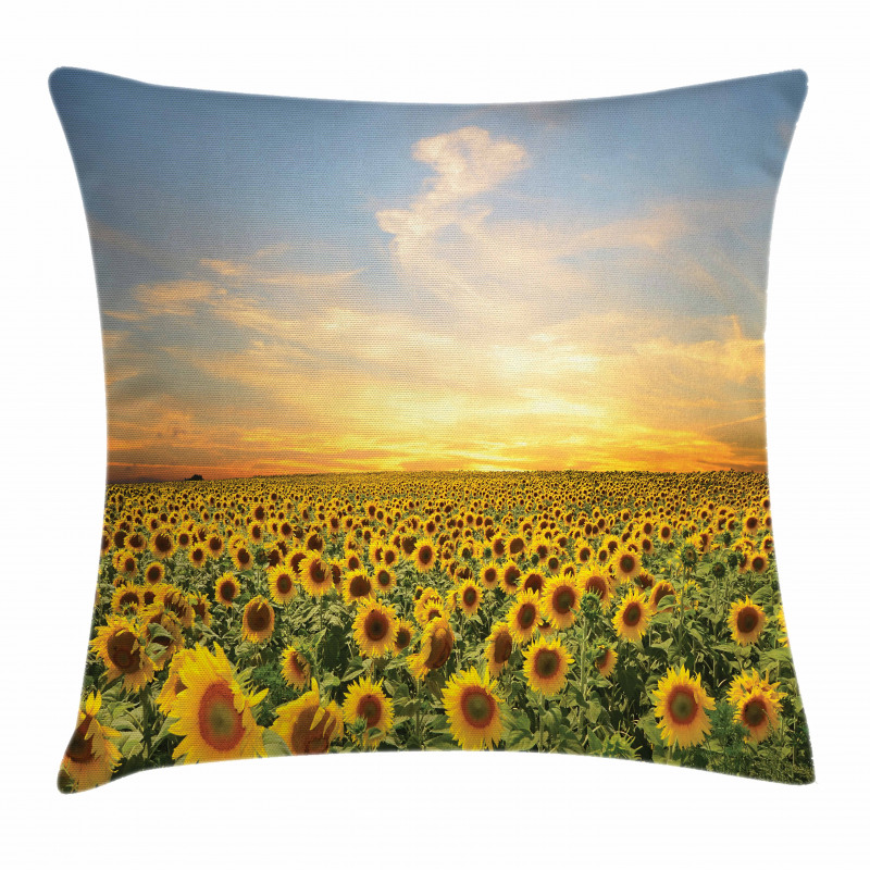 Blooming Farm at Sunset Pillow Cover