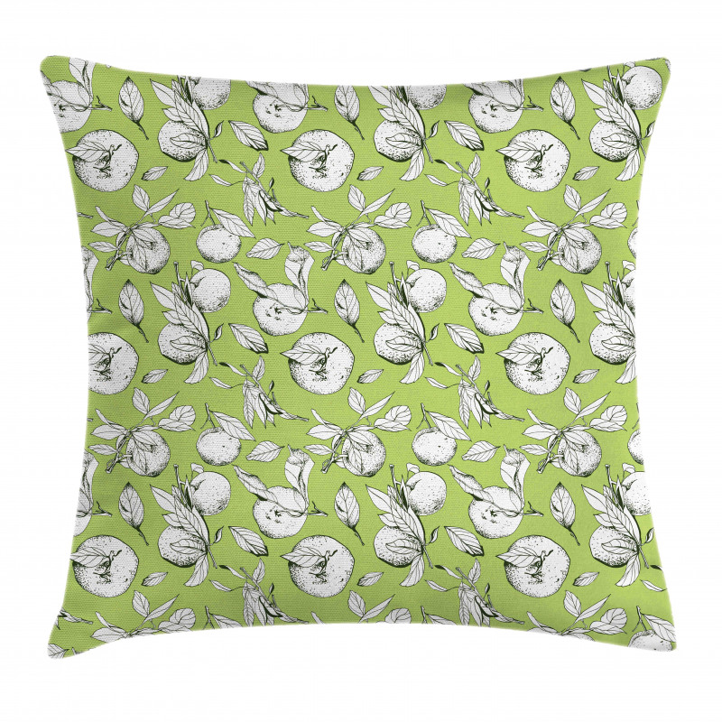 Sketch Drawn Citrus Fruit Pillow Cover