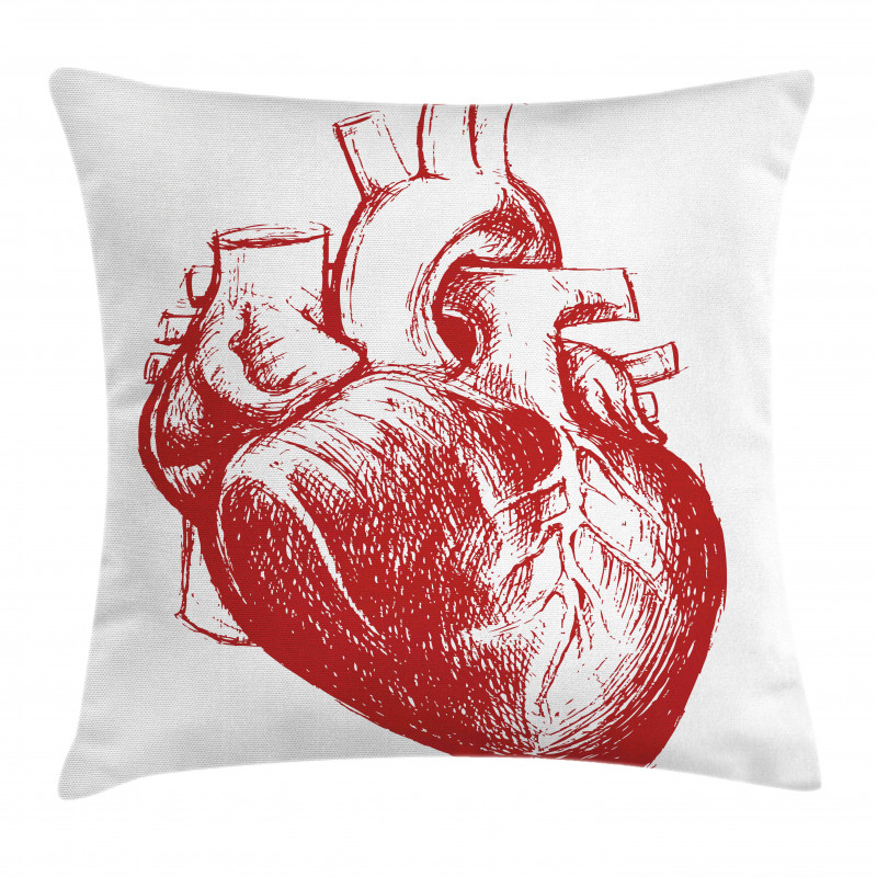 Sketch of Cardio Organ Pillow Cover