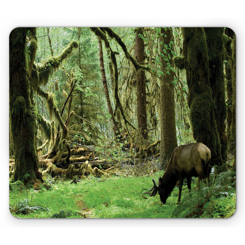 Roosevelt Elk in Park Mouse Pad