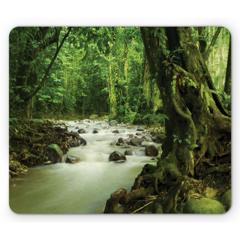 Selangor State Malaysia Mouse Pad