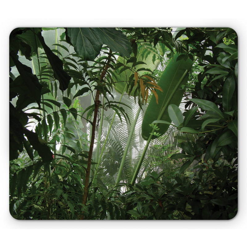 Tropical Rainforest Wild Mouse Pad