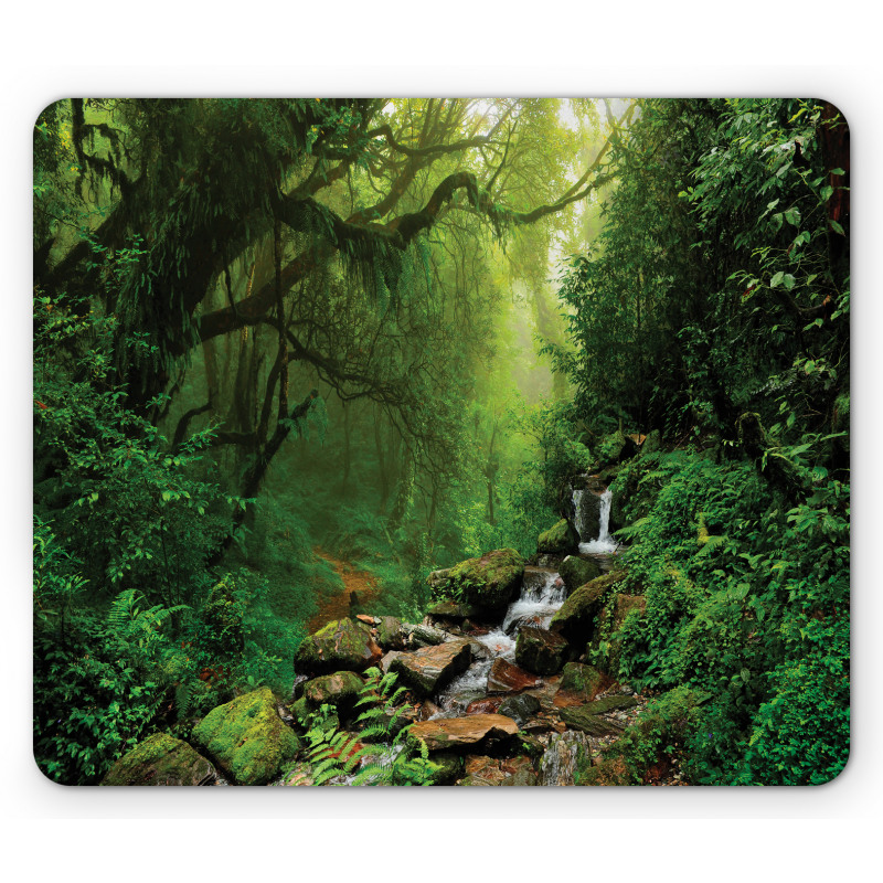 Spring in Nepal Footpath Mouse Pad