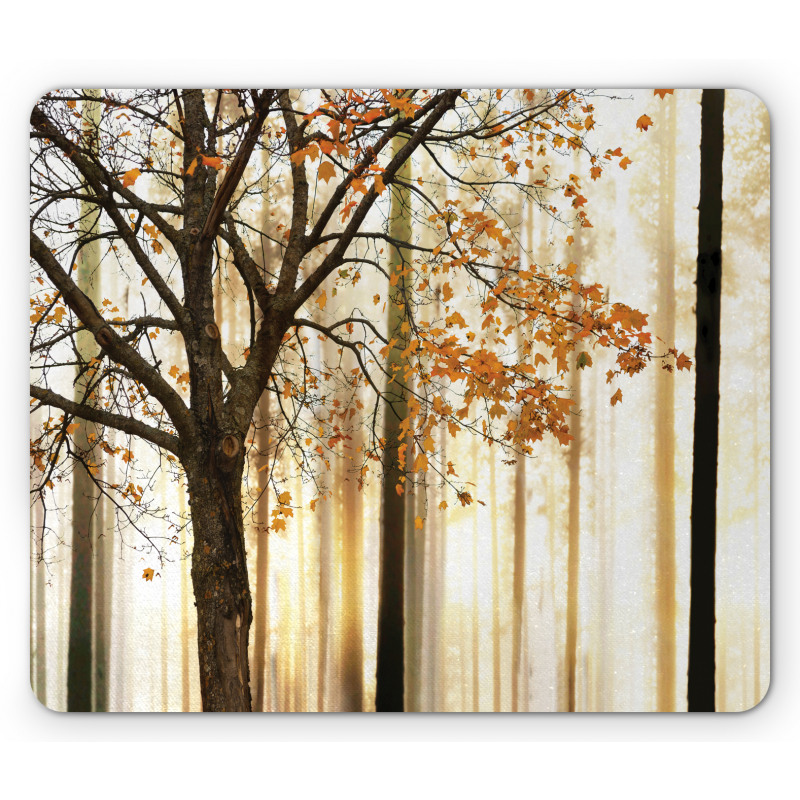 Tree in Abstract Woods Mouse Pad