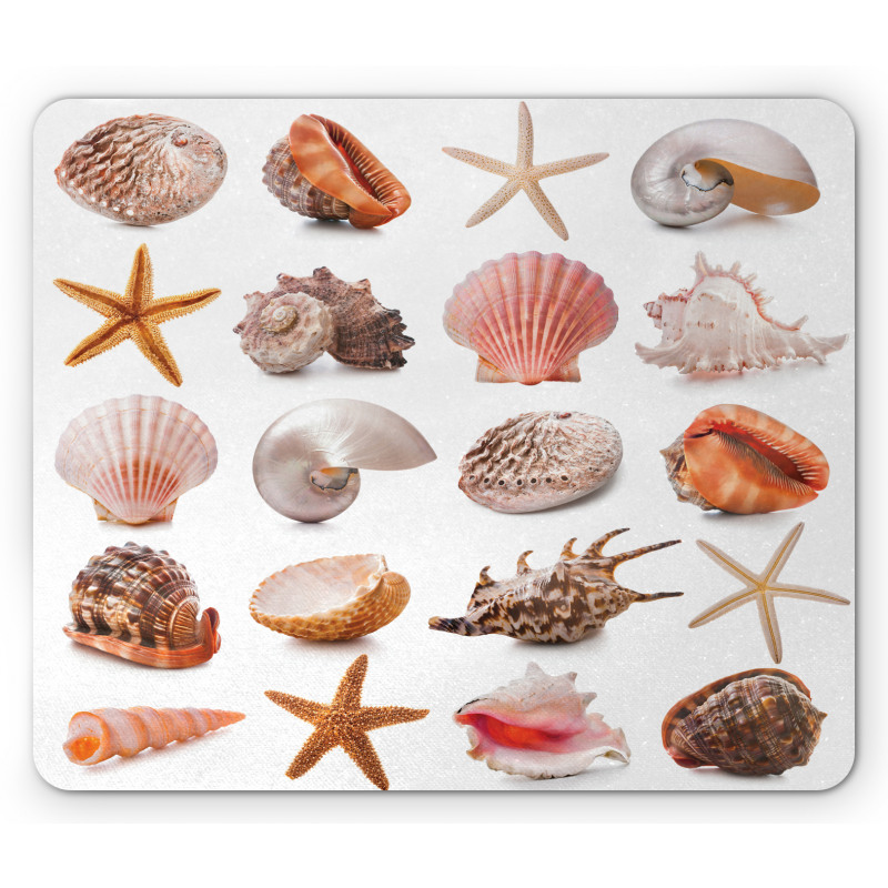 Mollusk Summer Holiday Mouse Pad