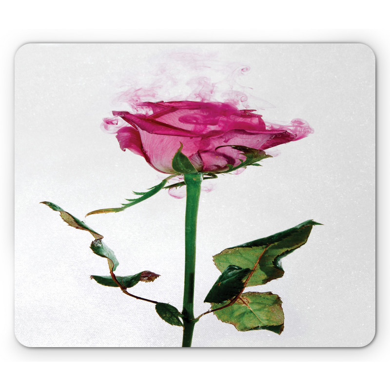 Single Flower Branch Mouse Pad