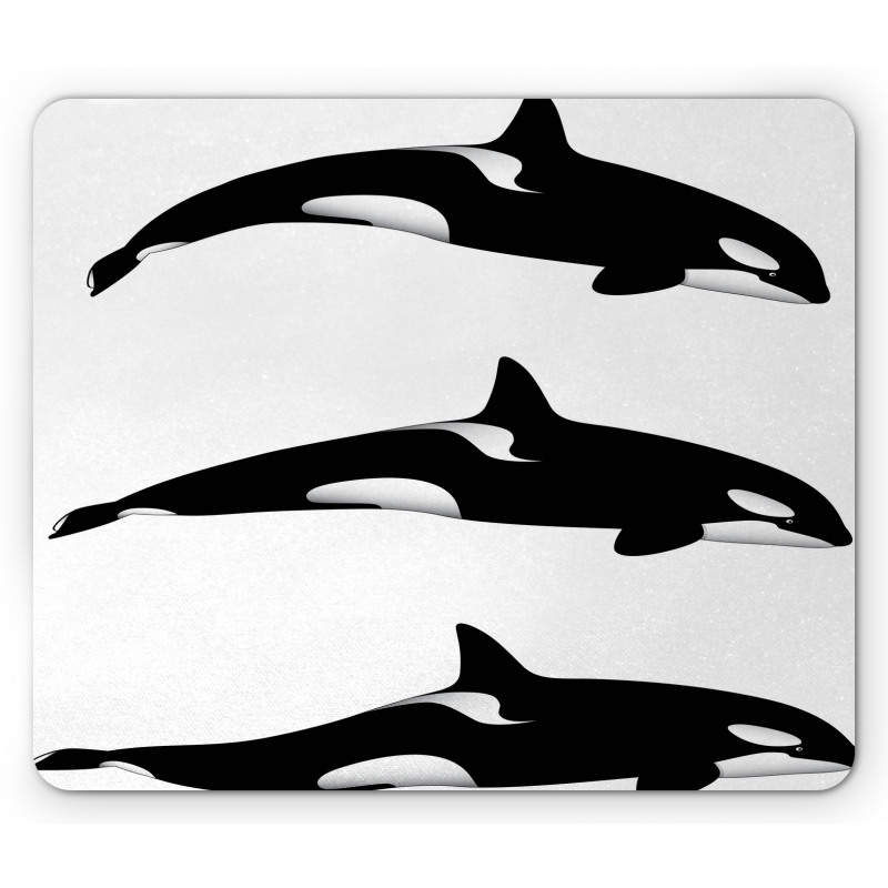 Orca Killer Whales Mouse Pad