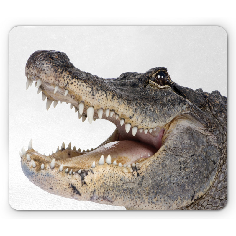 Wild American Alligator Mouse Pad