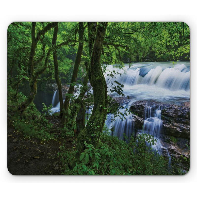 Canyon Woods Scene Mouse Pad