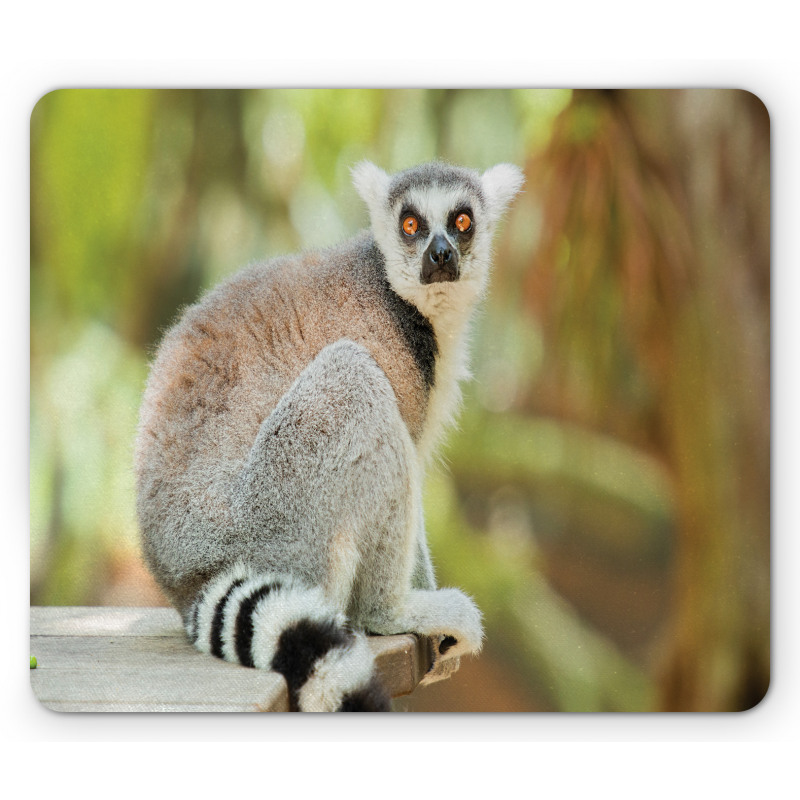 Aperture Photo Mammal Animal Mouse Pad