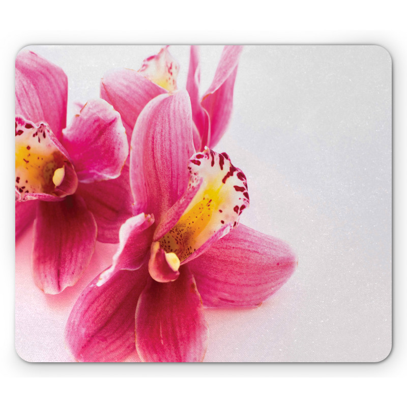 Close up Orchids View Mouse Pad