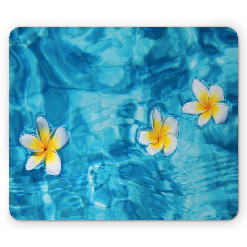 Frangipani Flower Aqua Mouse Pad