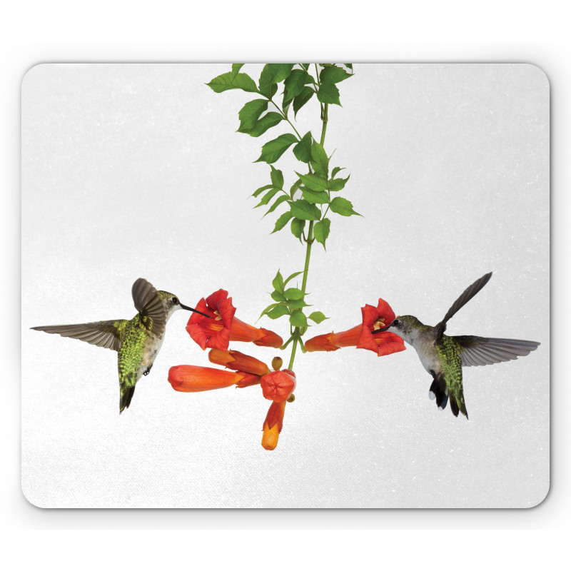 Hummingbird Nectar Sip Mouse Pad