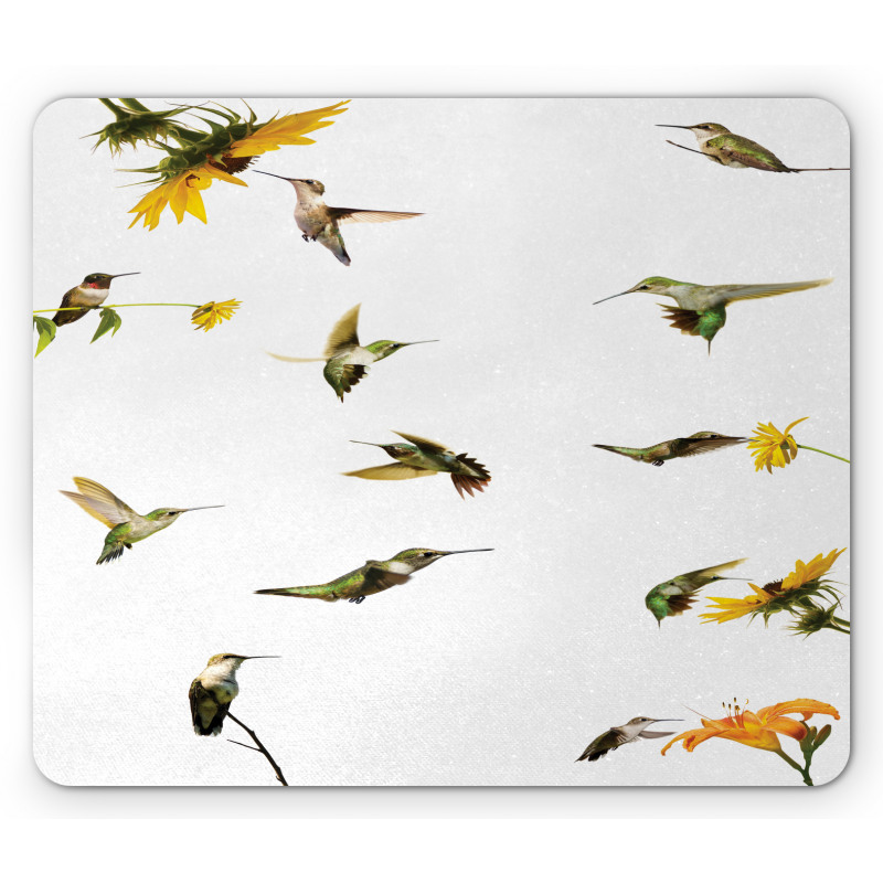 Hummingbird Sunflowers Mouse Pad