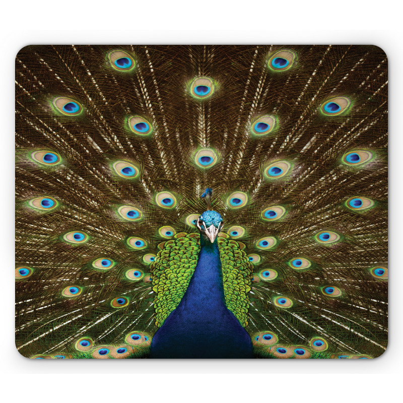 Peacock with Feathers Mouse Pad