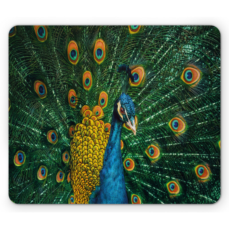 Portrait of the Peacock Mouse Pad