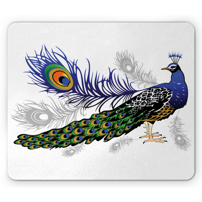 Wild Peacock Feather Mouse Pad