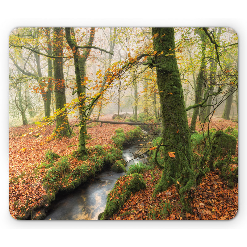 Misty Woods Cornwall Mouse Pad
