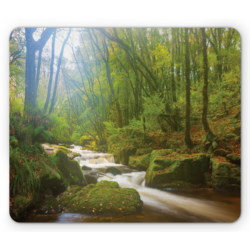 Forest at Golitha Falls Mouse Pad